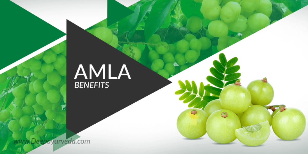 Amla Benefits Banner