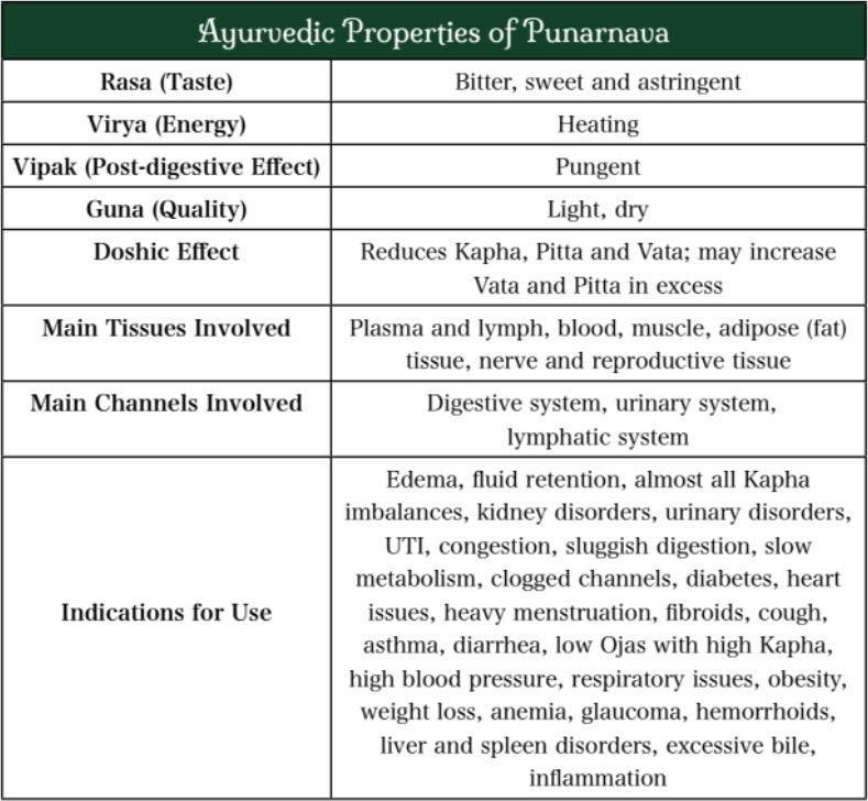 Ayurvedska svojstva Punarnave