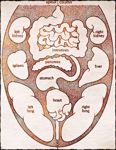 Ayurvedic tongue diagnosis