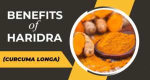 Benefits of Haridra 21 aug