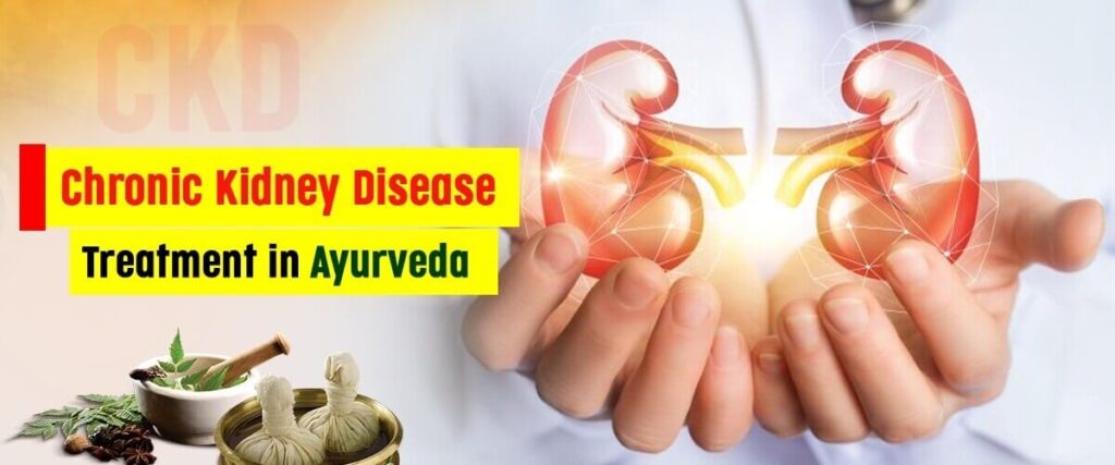 Chronic Kidney Disease Treatment