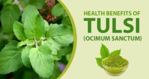 Healthbenifits of Tulsi