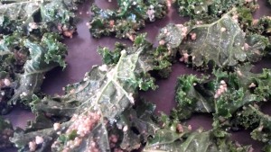 Kale Chip Recipe Ayurveda