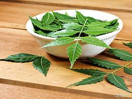 Neem Health Benefits and Uses