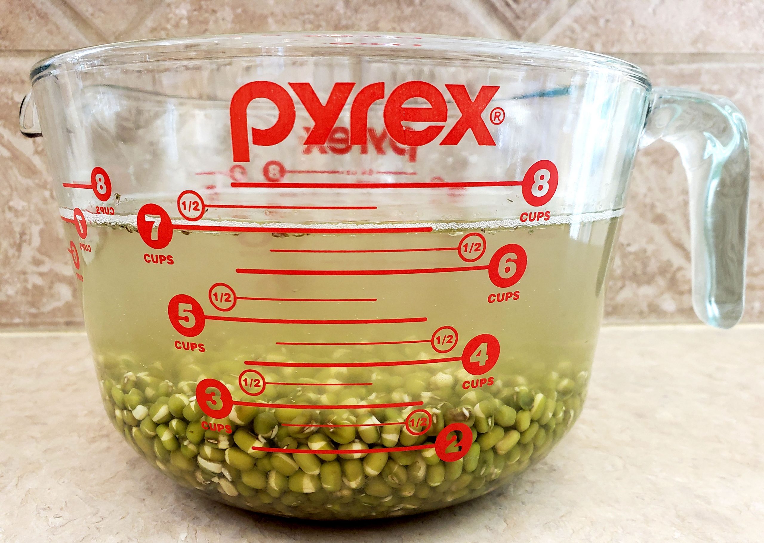 Soaking Mung Beans scaled