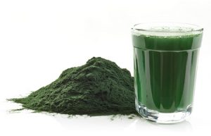 Spirulina1