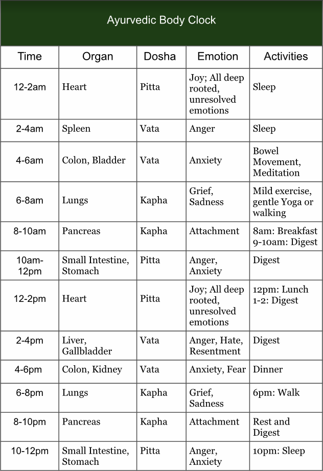 ayurvedic body clock Chart