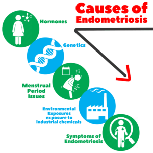 Uzroci endometrioze