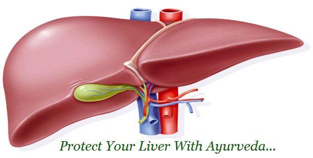 liver image