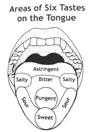 tonguetaste 1