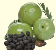 triphala fruit health benefits and uses