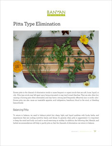 Eliminacija Pitta tipa PDF